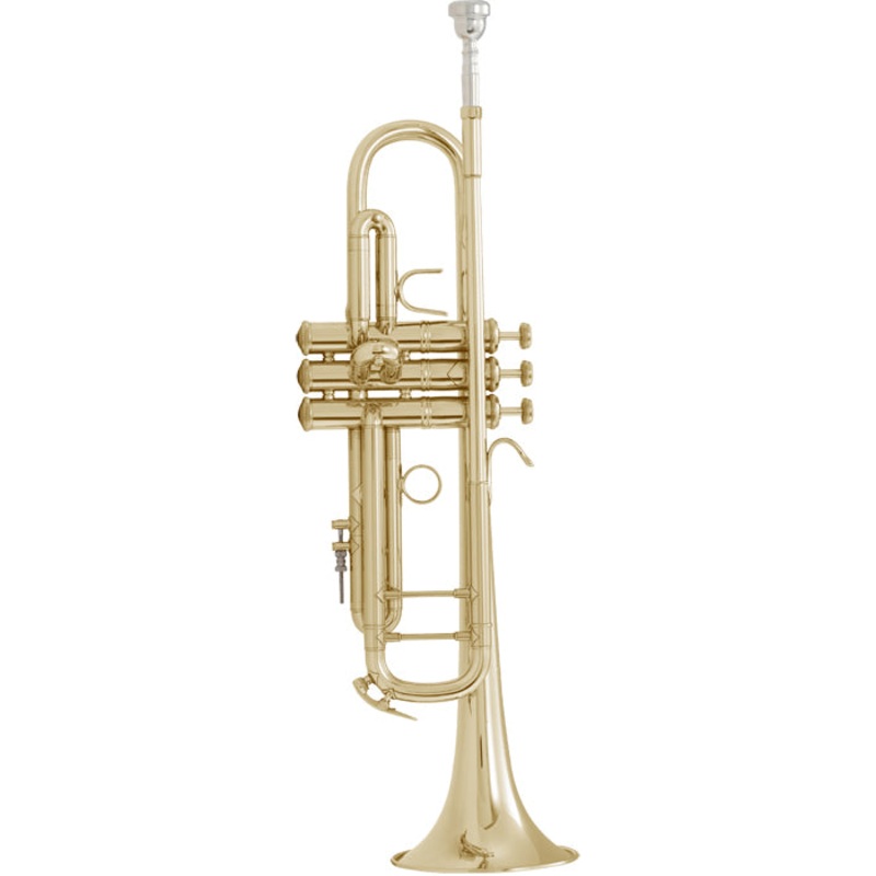 bach-lt18043-stradivarius-b-flat-trumpet-outfit Bach LT18043 Stradivarius B-Flat Trumpet Outfit