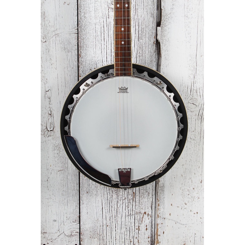 washburn-b9-americana-series-5-string-resonator-back-banjo-gloss-sunburst Washburn B9 Americana Series 5 String Resonator Back Banjo Gloss Sunburst