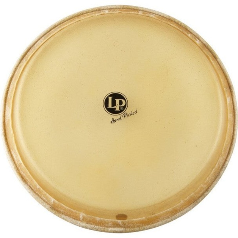 latin-percussion-lp265cp-12-1-2-inch-fiberskyn-synthetic-tumba-conga-head Latin Percussion LP265CP 12-1/2-Inch Fiberskyn Synthetic Tumba Conga Head