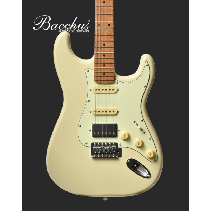 bacchus-bst-2-rsm-m-electric-owh Bacchus BST-2-RSM/M Electric OWH