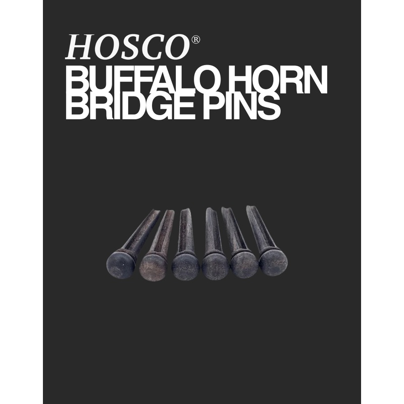 hosco-bridge-pins-buffalo-horn Hosco Bridge Pins - Buffalo Horn