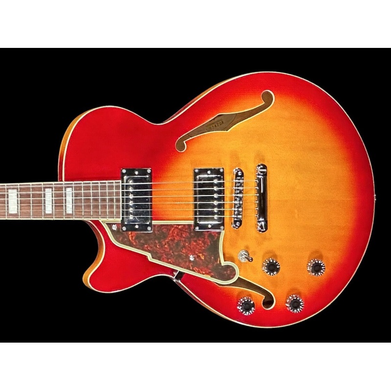 dangelico-premier-kurt-rosenwinkle-ss-left-handed DAngelico Premier Kurt Rosenwinkle SS Left Handed
