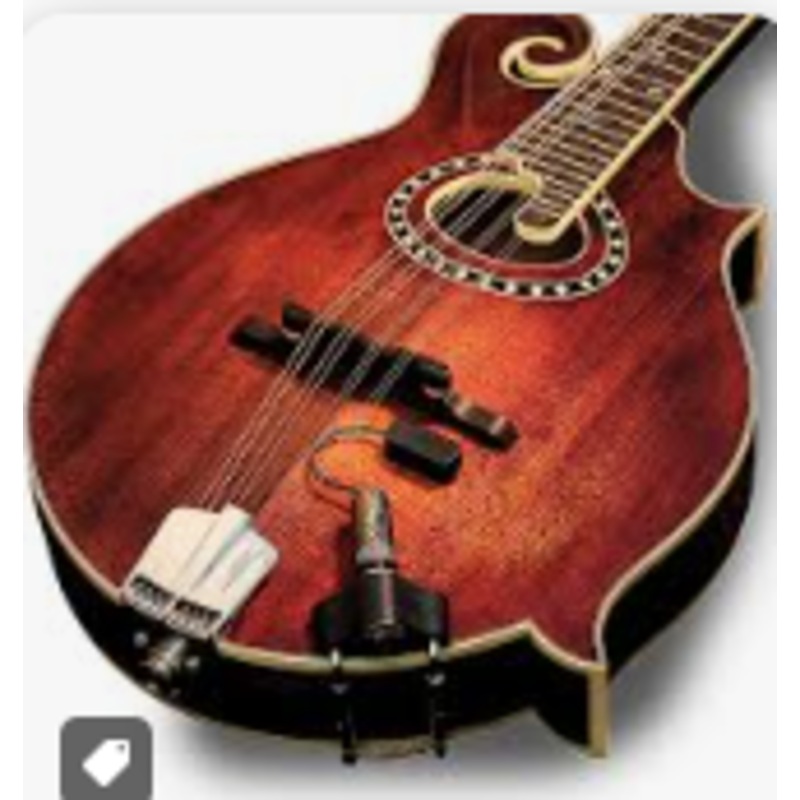 l-r-baggs-radius-mandolin-pickup L.R Baggs Radius Mandolin Pickup