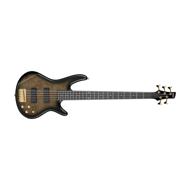 ibanez-gio-gsr205pc-5-string-bass-guitar-transparent-pale-black-burst Ibanez Gio GSR205PC 5-string Bass Guitar - Transparent Pale Black Burst