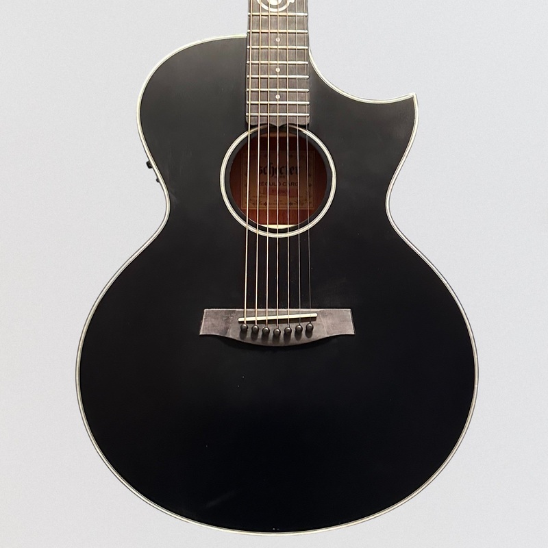 schecter-regulo-caro-7-signature-7-string-acoustic-electric-guitar-satin-black Schecter Regulo Caro-7 Signature 7-String Acoustic Electric Guitar - Satin Black