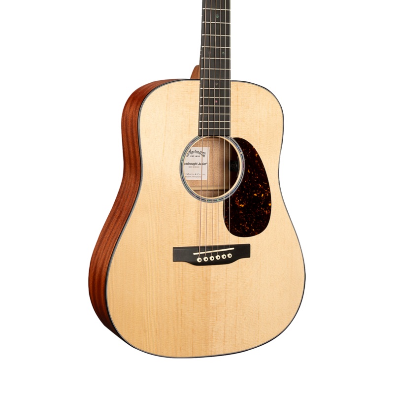 martin-d-jr-ew-softshell-case Martin D JR Ew/Softshell Case