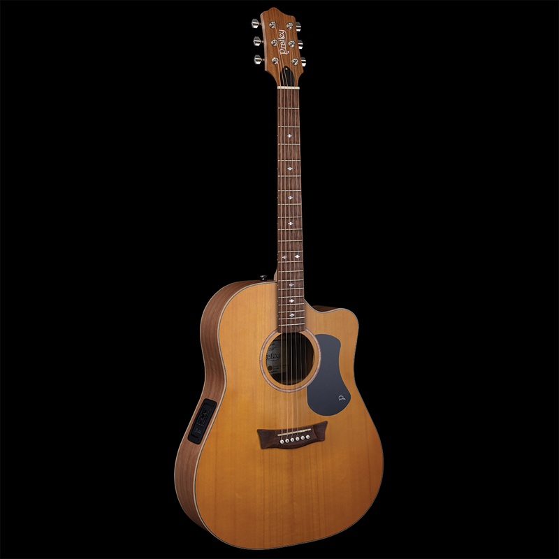 premier-dreadnought-maple-fig-sce Premier Dreadnought Maple/Fig SCE
