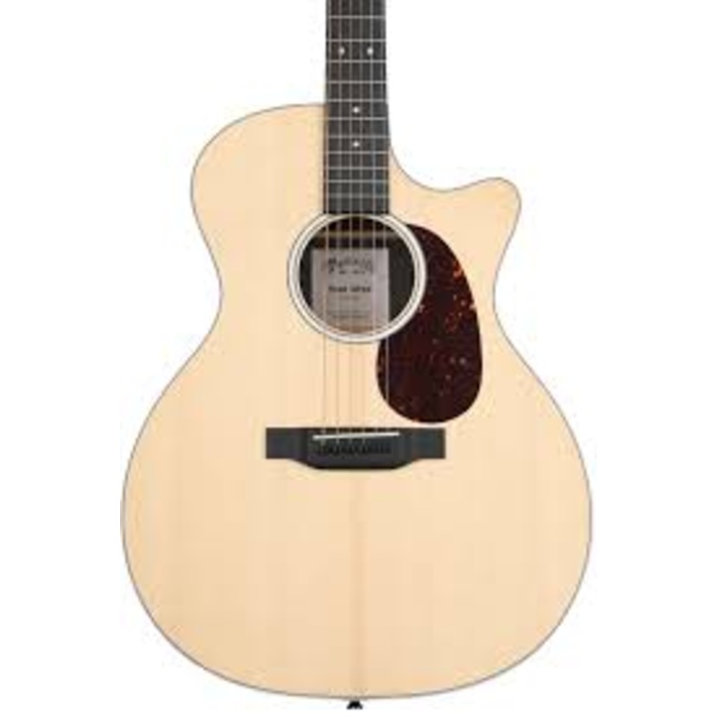 martin-11gpc13emod-gpc13e-mod-ziricote-acoustic-guitar-soft-case Martin 11GPC13EMOD GPC13E MOD Ziricote Acoustic Guitar Soft Case