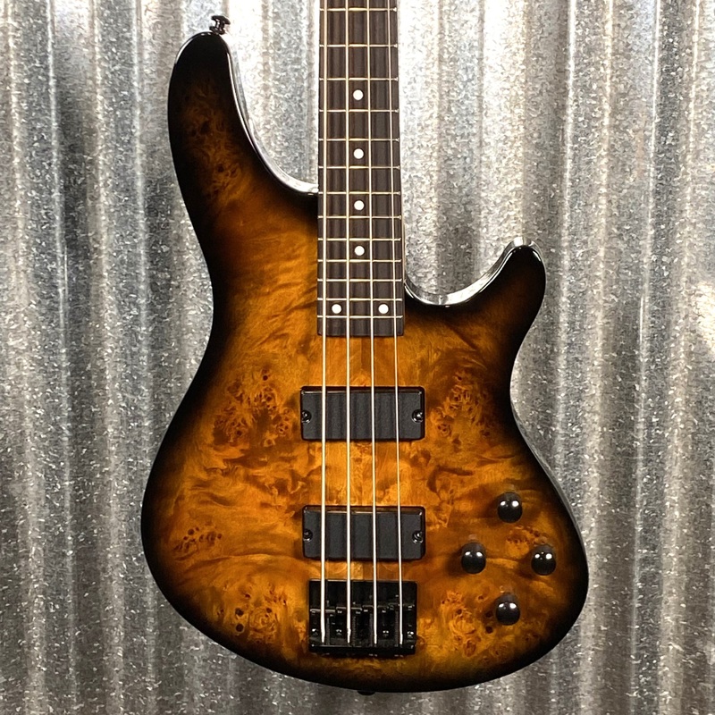 schecter-c-4-standard-tobacco-burl-4-string-bass-0810-blem Schecter C-4 Standard Tobacco Burl 4 String Bass #0810 Blem