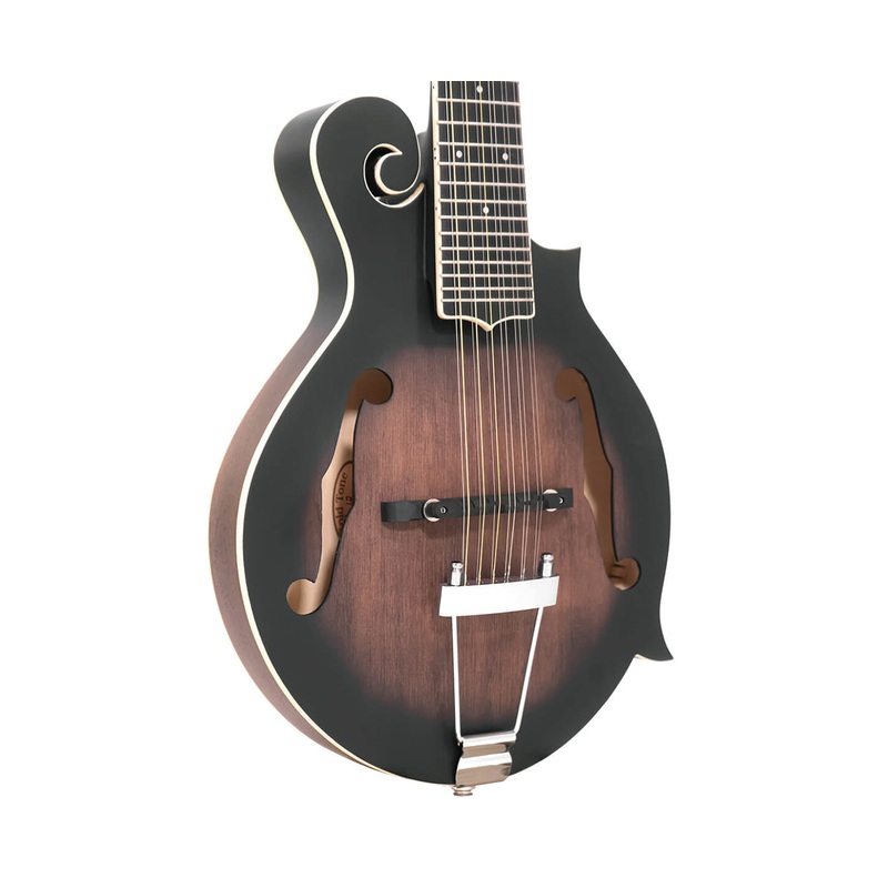 gold-tone-f-12-f-style-12-string-mando-guitar-with-pickup-and-case Gold Tone F-12 F-style 12-String Mando-Guitar with Pickup and Case