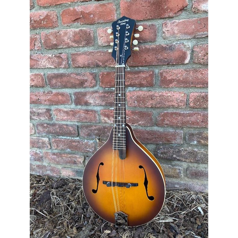 recording-king-mandolin-ram-3-ts Recording King Mandolin RAM-3-TS