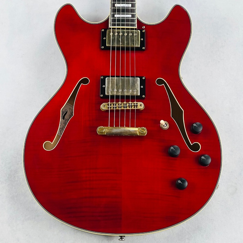 d-angelico-ex-dc-excel-2013-transparent-red D'Angelico EX-DC Excel 2013 - Transparent Red