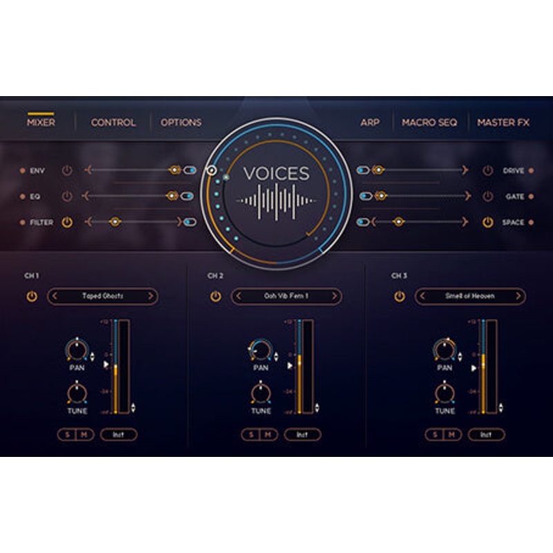 mosaic-voices Mosaic Voices