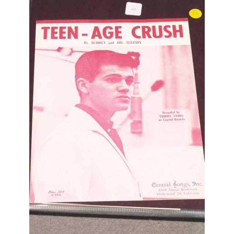 teen-age-crush Teen-Age Crush