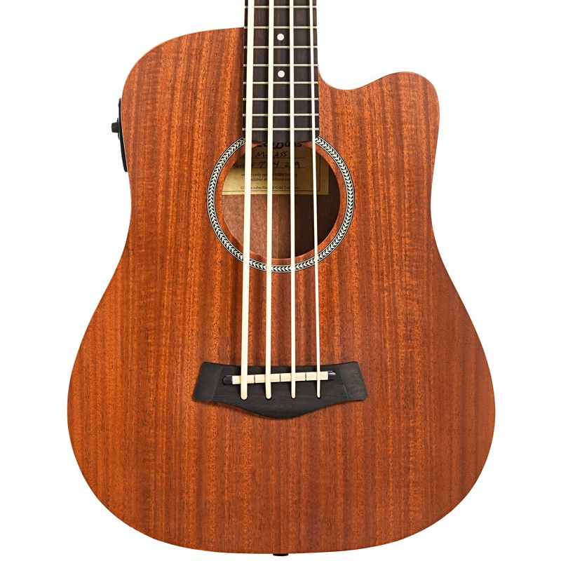 gold-tone-acoustic-electric-microbass-2019 Gold Tone Acoustic-Electric MicroBass (2019)