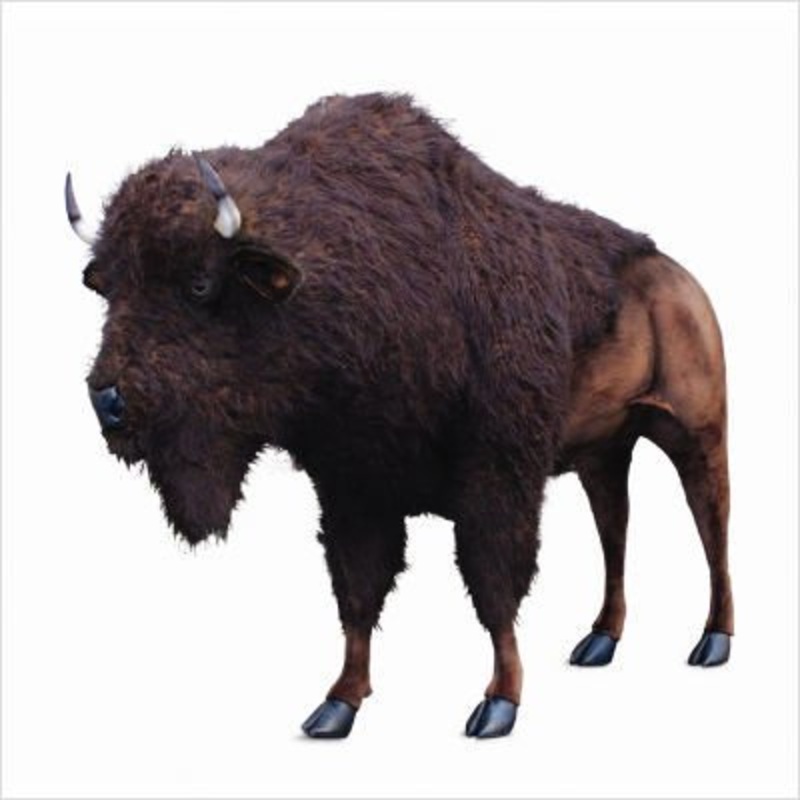 hansa-creations-buffalo-96-l-x-72-h-life-size-stuffed-animal-toy-4883 Hansa Creations BUFFALO 96"L x 72"H Life Size Stuffed Animal Toy 4883