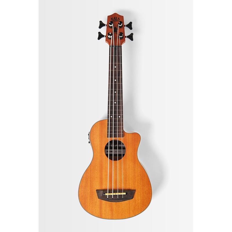 scout-fretless-acoustic-electric-ubass Scout Fretless Acoustic-Electric UBASS