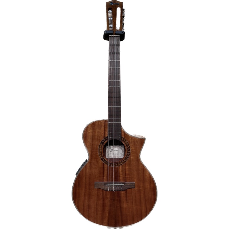 ibanez-exotic-wood-series-nylon-string-acoustic-guitar-koa Ibanez Exotic Wood Series Nylon String Acoustic Guitar Koa