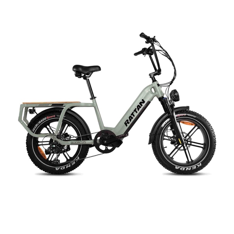 2026-rattan-quercus-750w-48v-long-range-utility-magnesium-fat-tire-electric-bike-avocado-green 2026 Rattan QUERCUS 750W 48V Long Range Utility Magnesium Fat Tire Electric Bike Avocado Green