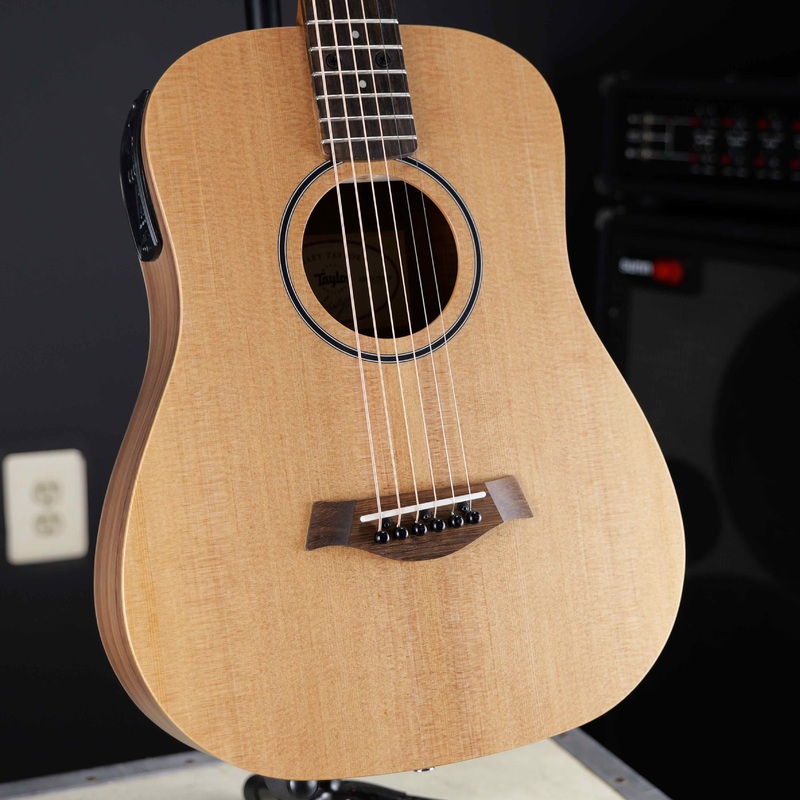 taylor-bt1e Taylor BT1e