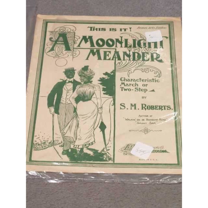a-moonlight-meander A Moonlight Meander