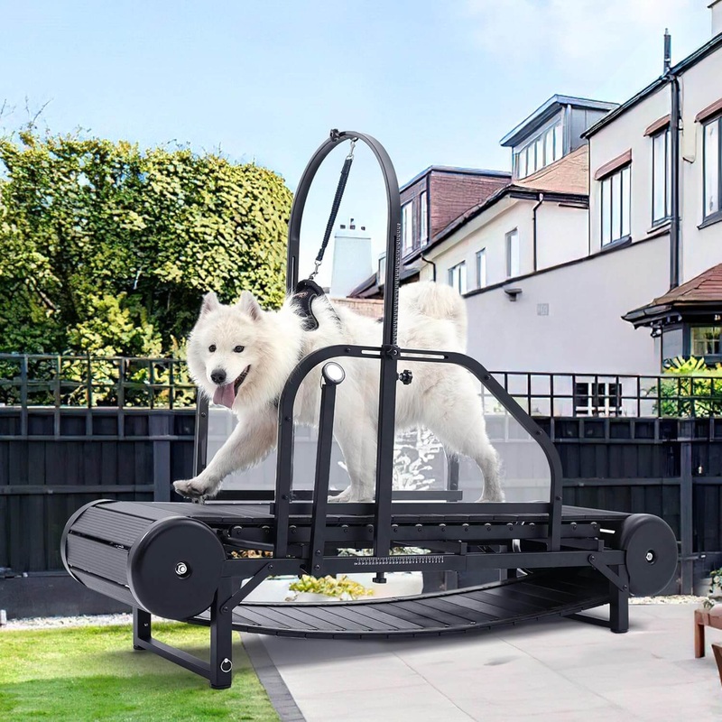 moysoon-adjustable-ramp-dog-treadmill Moysoon Adjustable Ramp Dog Treadmill