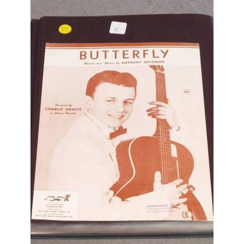 butterfly Butterfly