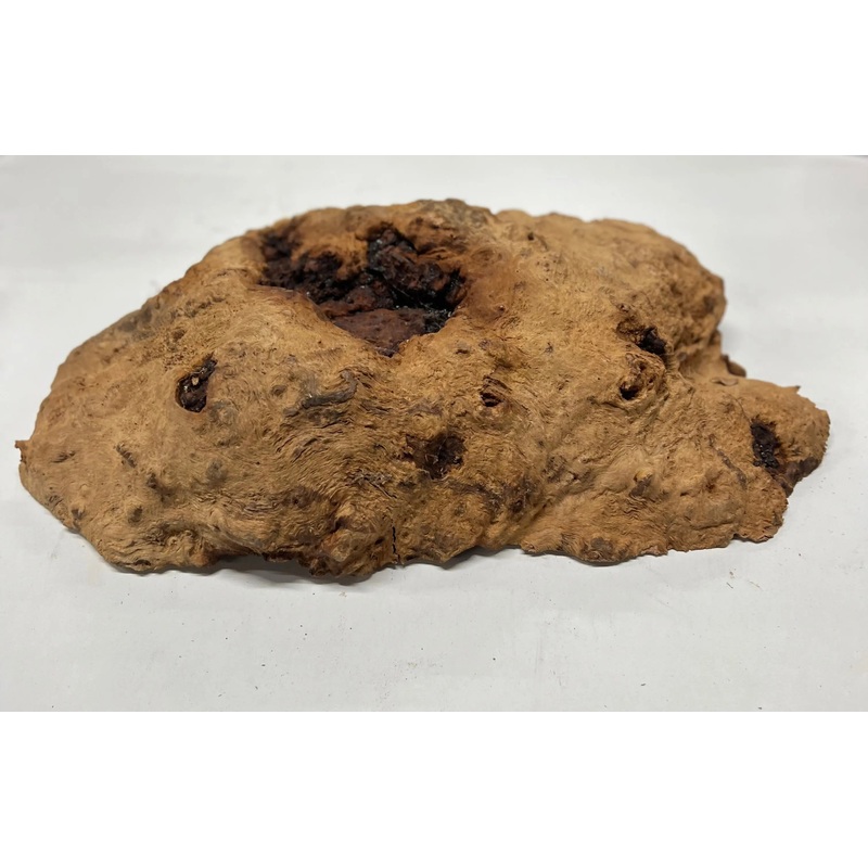 red-gum-burl-cap-21-x-15-x-4-22-5-lbs-115 Red Gum Burl Cap 21" x 15" x 4", 22.5 lbs | #115