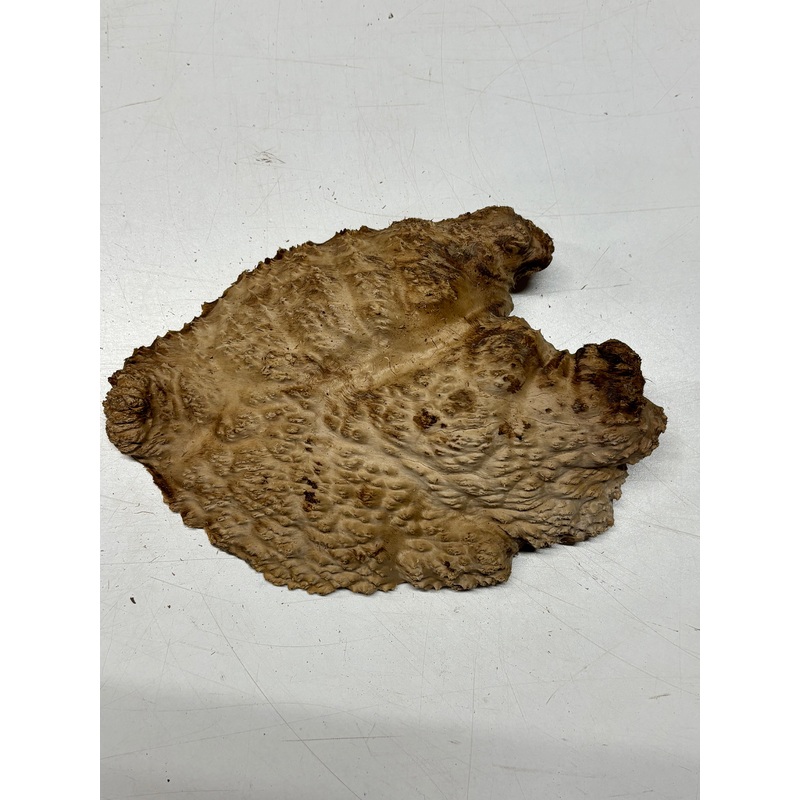 brown-mallee-burl-cap-10-x-7-x-2-2-9-lbs-6110 Brown Mallee Burl Cap 10" x 7" x 2" 2.9 Lbs #6110