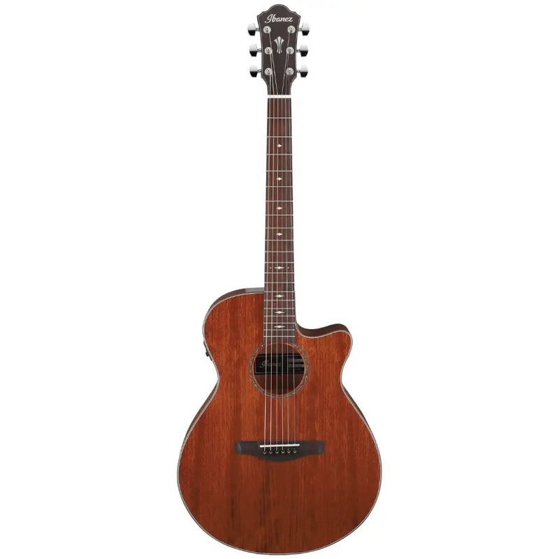 ibanez-aeg220-lgs-acoustic-guitar-w-eq Ibanez AEG220-LGS Acoustic Guitar w/ EQ