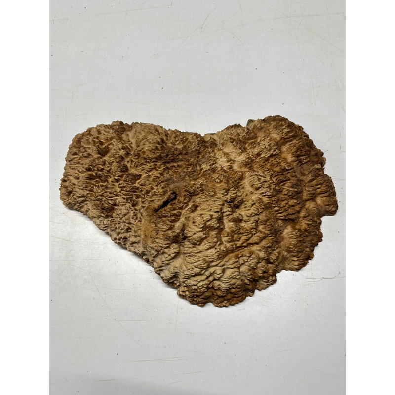 brown-mallee-burl-cap-15-x-6-x-2-8-35-lbs-7100 Brown Mallee Burl Cap 15" x 6" x 2" 8.35 Lbs #7100