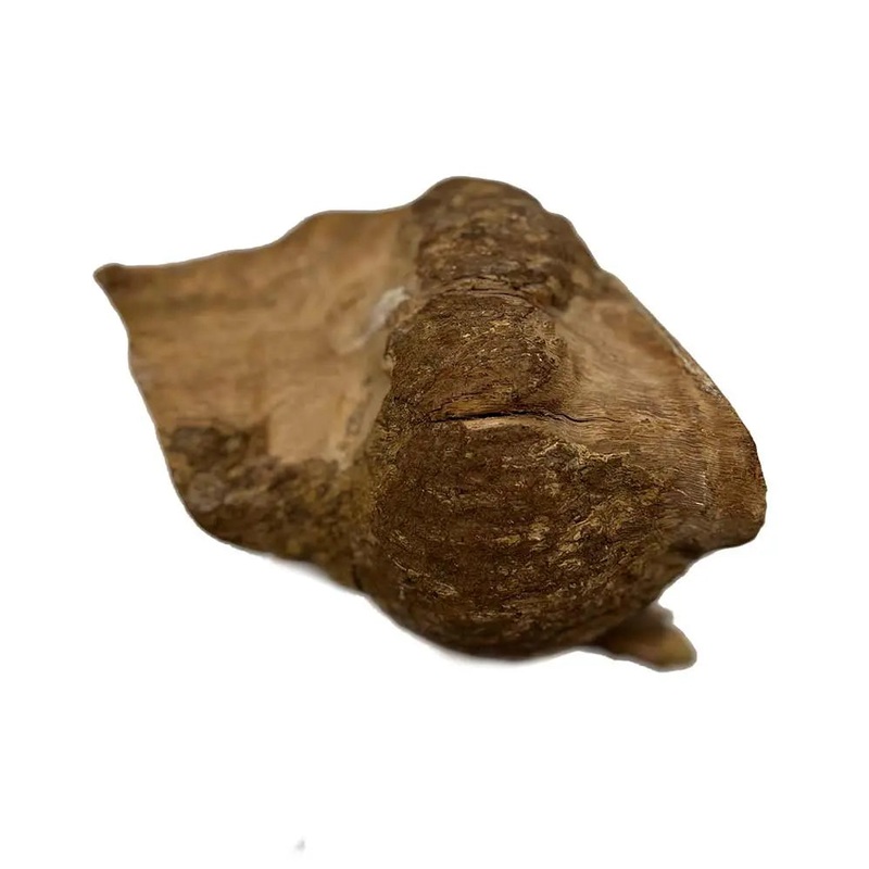 kaniste-burl-cap-12-x-12-x-3-10-lbs-417 Kaniste Burl Cap 12" x 12" x 3", 10 lbs | #417
