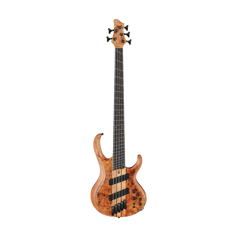 ibanez-bass-workshop-btb805ms-fnl-5-string-bass-guitar-w-case-florid-natural-low-gloss Ibanez Bass Workshop BTB805MS-FNL 5-String Bass Guitar w/Case, Florid Natural Low Gloss