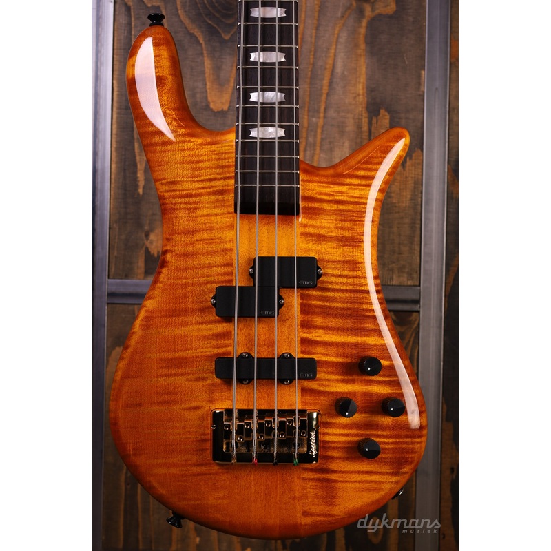 spector-euro-4-lx-amber-high-gloss Spector Euro 4 LX Amber High Gloss