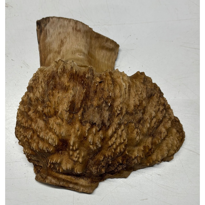 brown-mallee-burl-cap-9-x-8-x-3-5-3-5-lbs-6044 Brown Mallee Burl Cap 9" x 8" x 3.5" 3.5 Lbs #6044