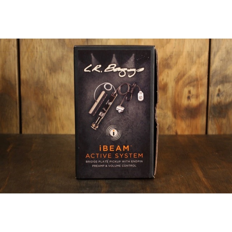 lr-baggs-ibeam-active-system LR Baggs iBeam Active System
