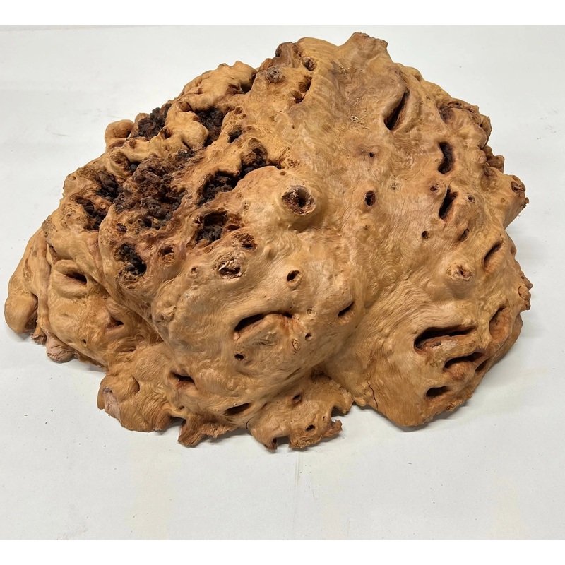 red-gum-burl-cap-19-x-17-x-6-32-75-lbs-111 Red Gum Burl Cap 19" x 17" x 6", 32.75 lbs | #111