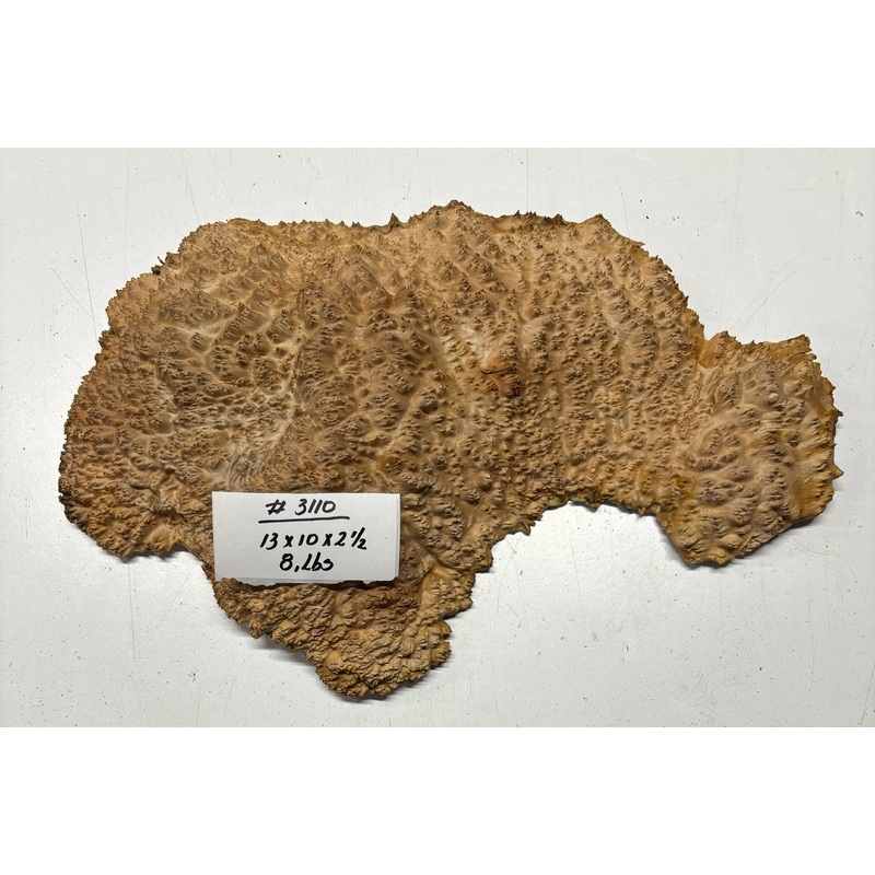 red-mallee-burl-cap-13-x-12-x-2-1-2-3110 Red Mallee Burl Cap- 13" x 12" x 2-1/2" #3110