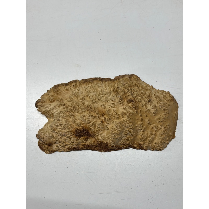 brown-mallee-burl-blank-14-x-8-x-2-5-5-lbs-7129 Brown Mallee Burl Blank 14" x 8" x 2" 5.5 Lbs #7129