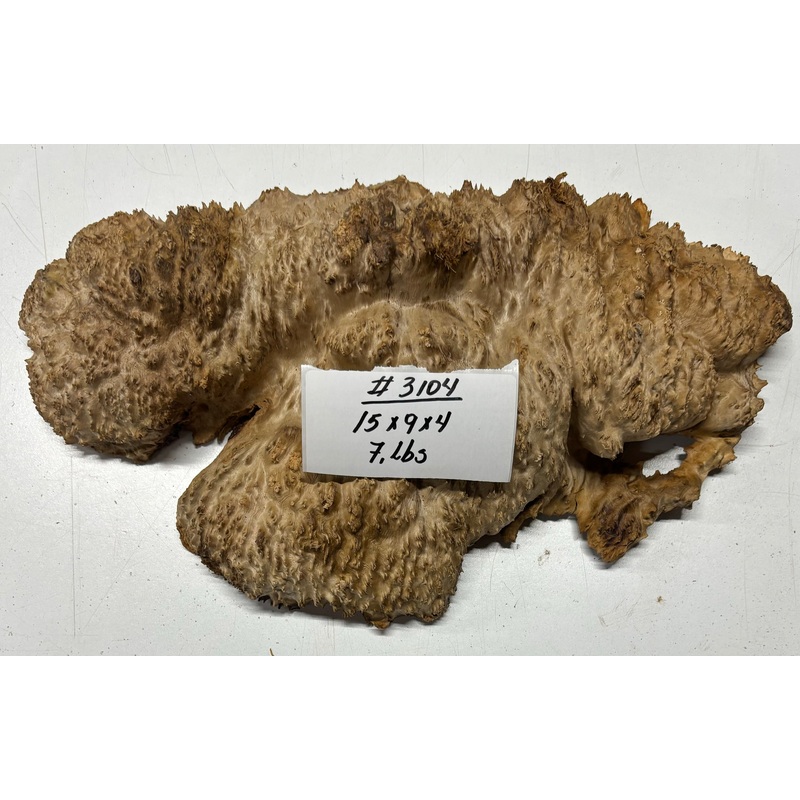 red-mallee-burl-cap-15-x-9-x-4-3104 Red Mallee Burl Cap- 15" x 9" x 4" #3104