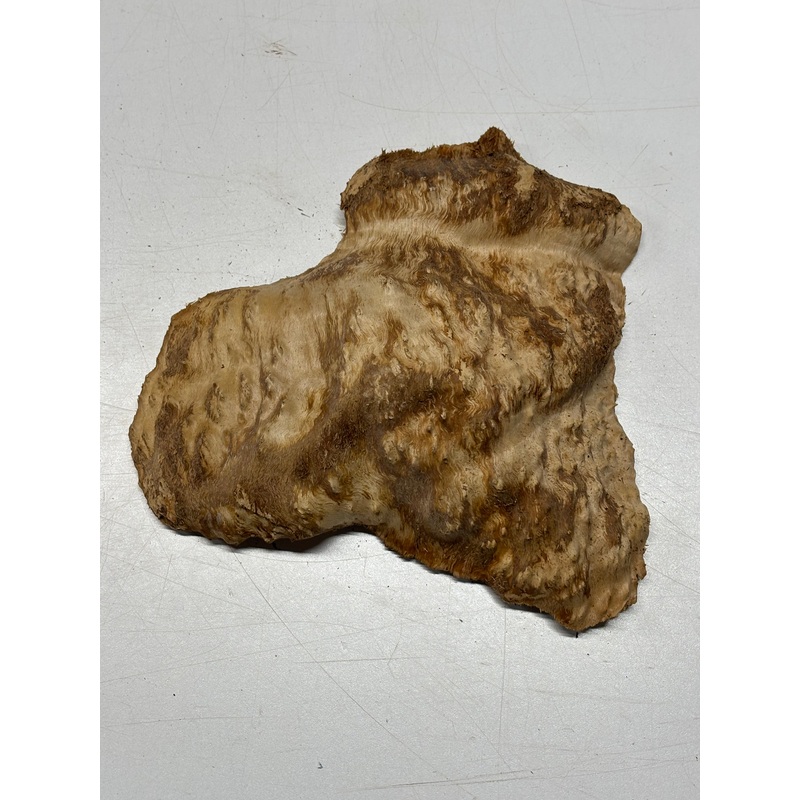 brown-mallee-burl-cap-10-x-5-x-2-2-4-lbs-6228 Brown Mallee Burl Cap 10" x 5" x 2" 2.4 Lbs #6228