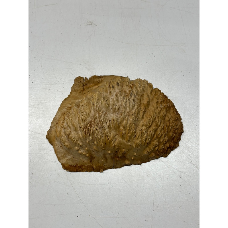 brown-mallee-burl-cap-8-x-5-5-x-3-1-6-lbs-6413 Brown Mallee Burl Cap 8" x 5.5" x 3" 1.6 Lbs #6413
