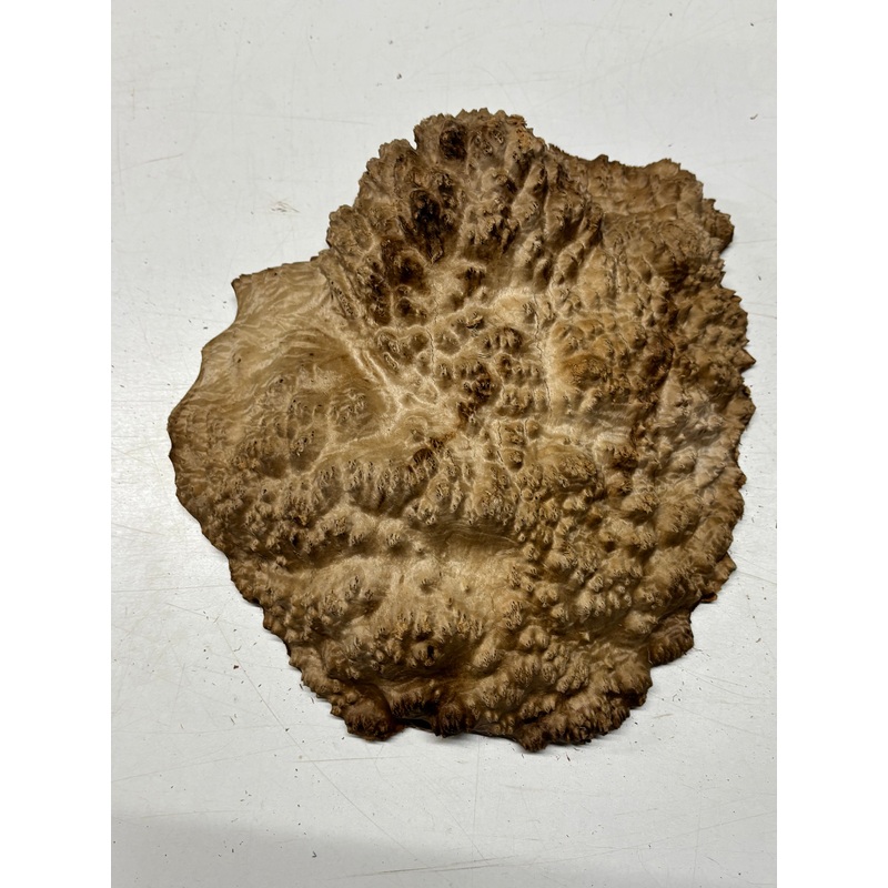 brown-mallee-burl-blank-11-x-9-x-3-8-9-lbs-7132 Brown Mallee Burl Blank 11" x 9" x 3" 8.9 Lbs #7132