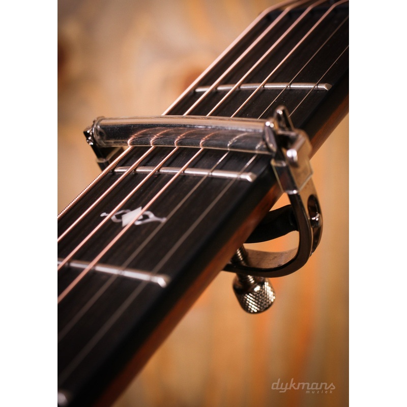 taylor-capo-nickel-bright-nickel Taylor Capo, Nickel Bright Nickel