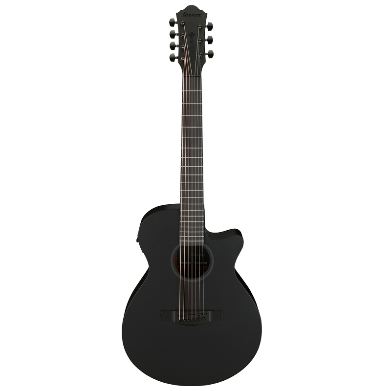 ibanez-aeg721bot-black-out-acoustic-electric-guitar Ibanez AEG721BOT Black Out Acoustic Electric Guitar
