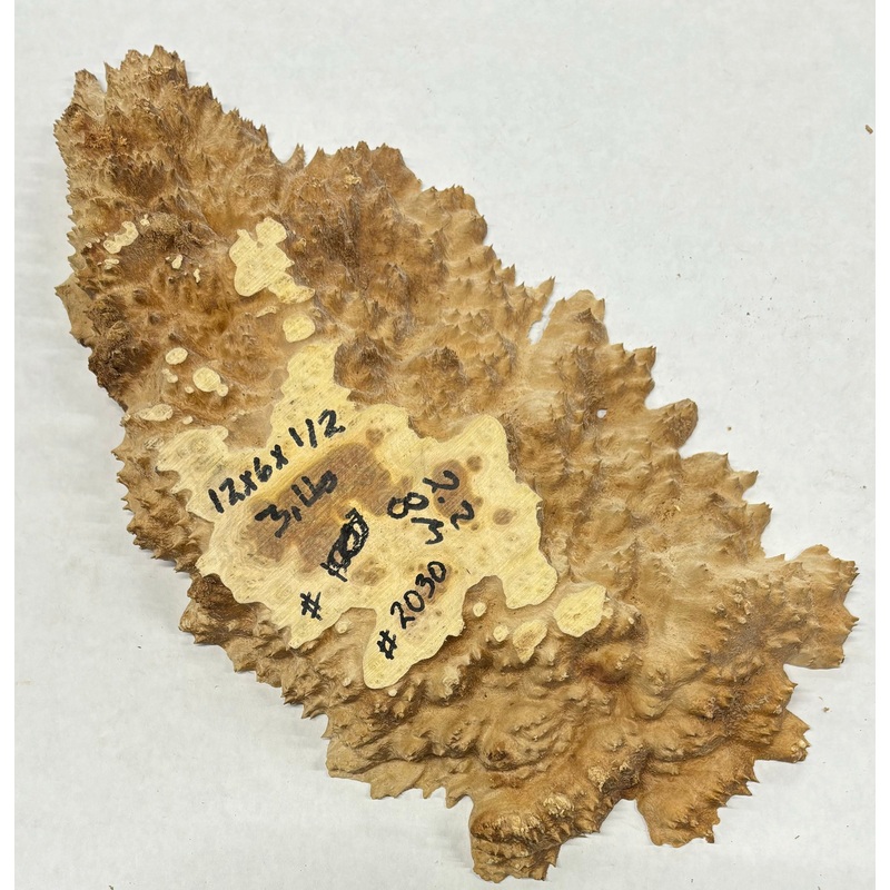 brown-mallee-burl-slice-12-x-6-x-1-2-3-lbs-2030 Brown Mallee Burl Slice 12" x 6" x 1/2" 3 Lbs | #2030