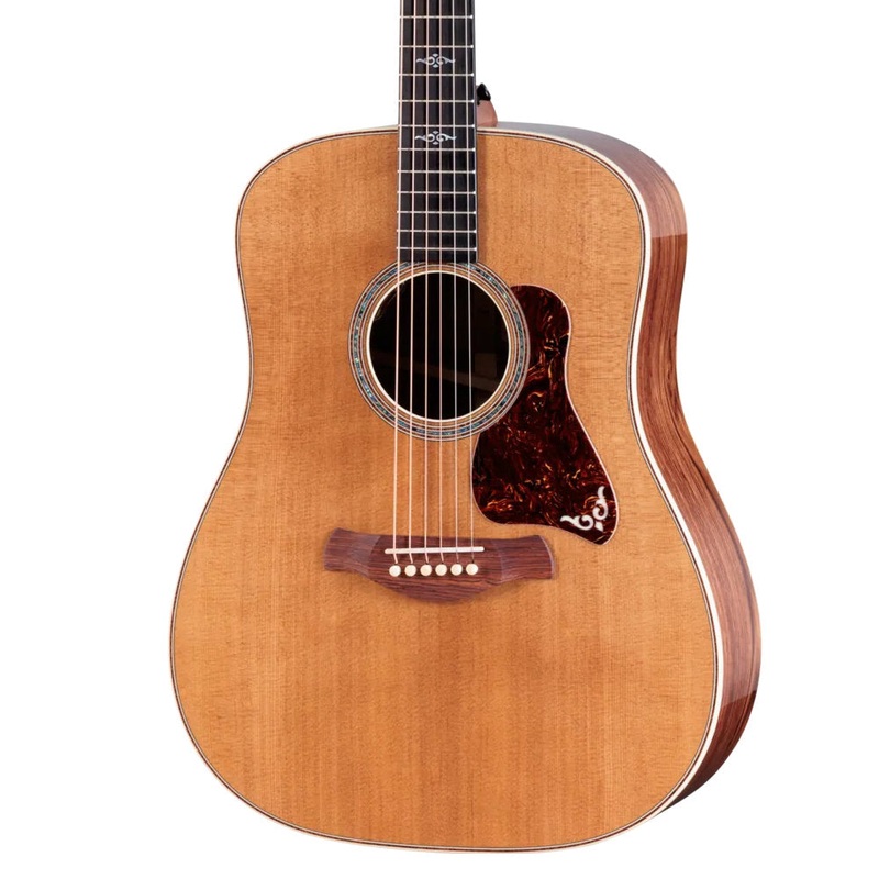 taylor-gold-label-810e-honduran-rosewood-acoustic-electric-guitar Taylor Gold Label 810e Honduran Rosewood Acoustic-Electric Guitar