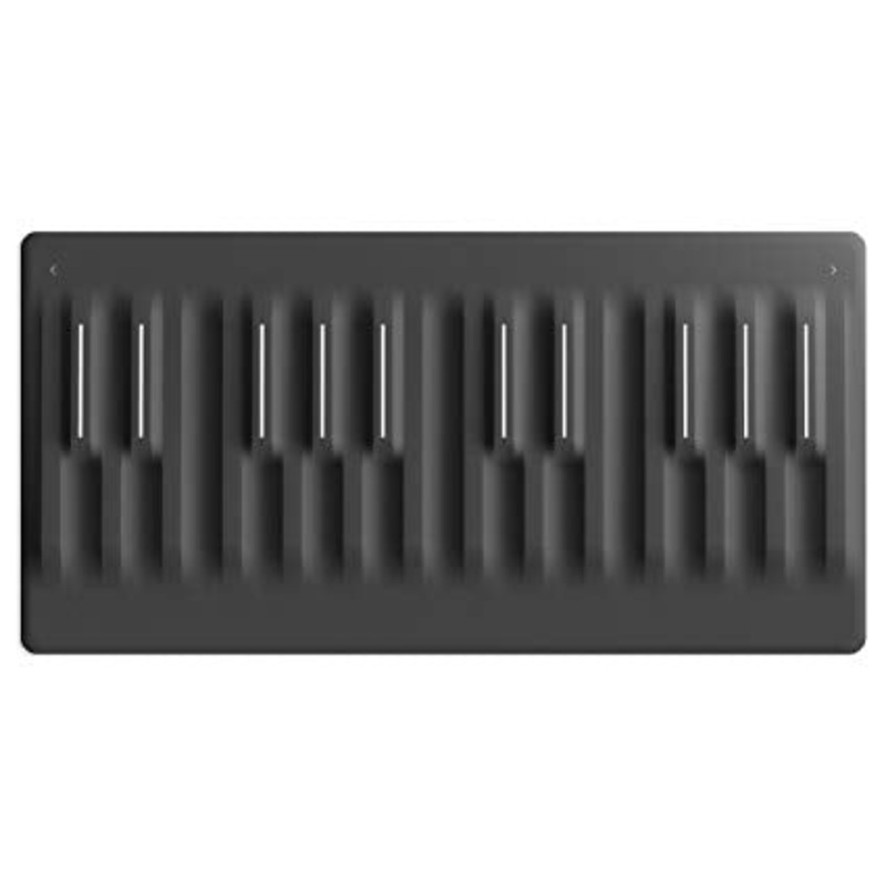 roli-seaboard-block Roli Seaboard Block