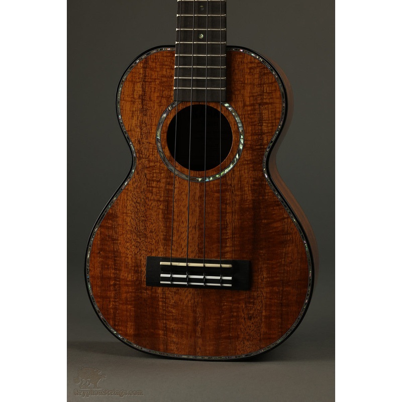 kamaka-hf-2-d2i-concert-deluxe-2-slotted-head-new Kamaka HF-2 D2I Concert Deluxe 2 Slotted Head New