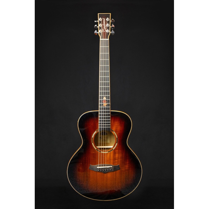 tanglewood-winterleaf-exotic-twx1ek-electro-acoustic-guitar Tanglewood Winterleaf Exotic TWX1EK Electro Acoustic Guitar